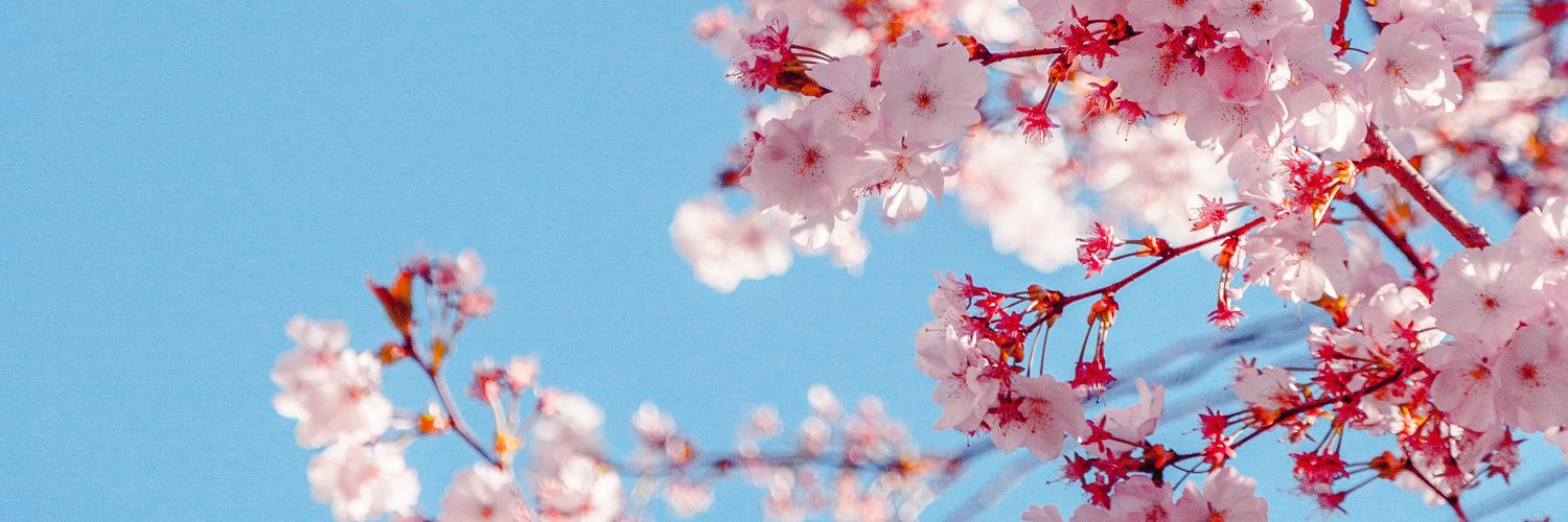 AliceNichi's profile banner image