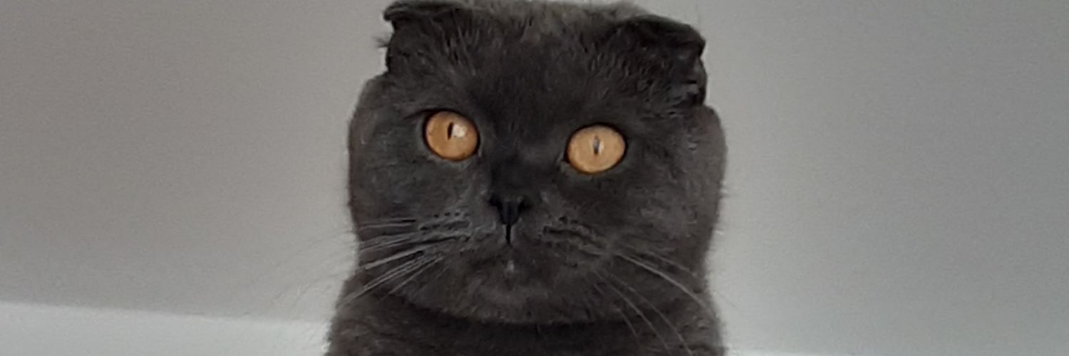 Demetss77's profile banner image
