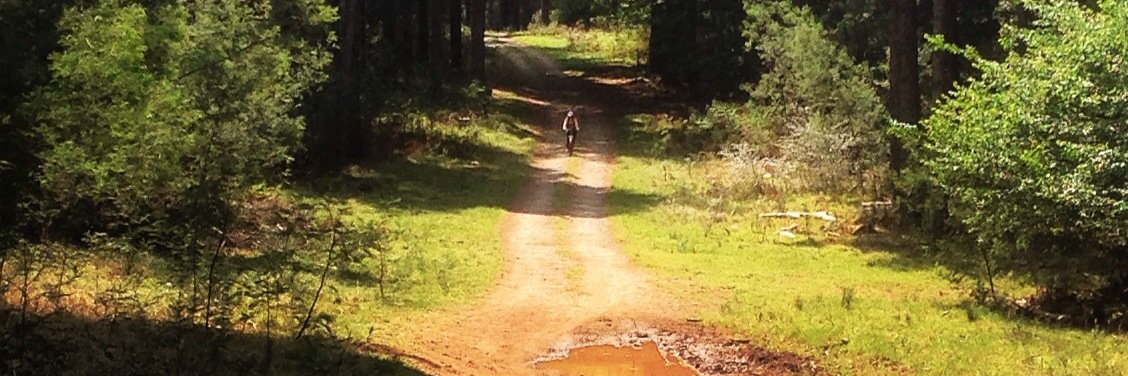 Ongo Gablogian banner