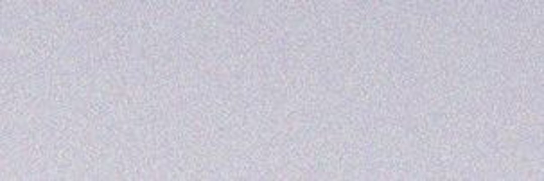 주주's banner