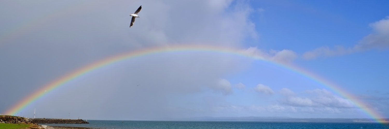 gescgj's profile banner image