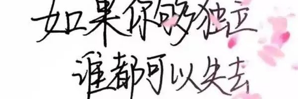 Ellis Woolley banner