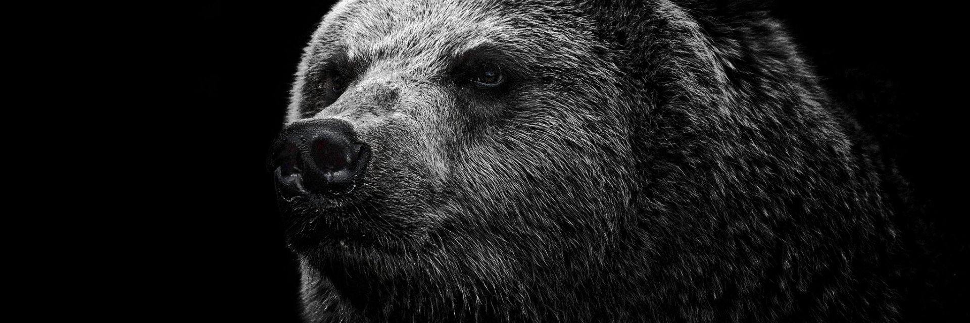 Riffreak's profile banner image