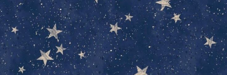 handle with care, i’m fckg fragile banner