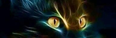 von_heldh's profile banner image