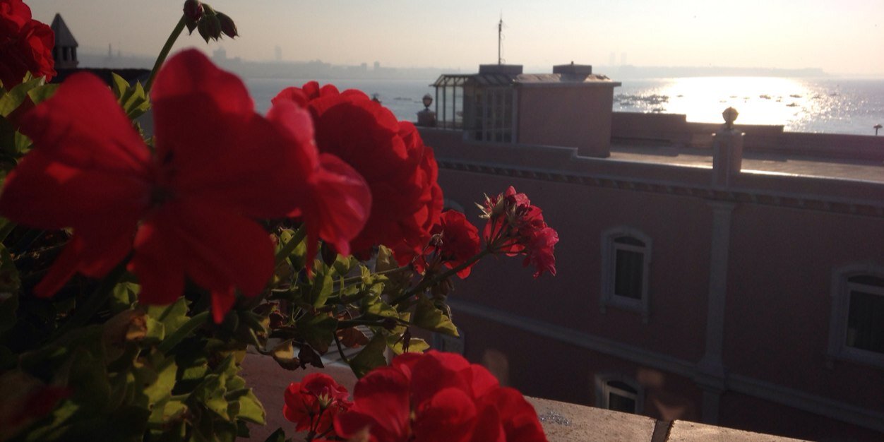 aslicerend's profile banner image