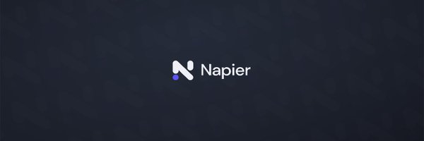 NapierFinance Profile Banner