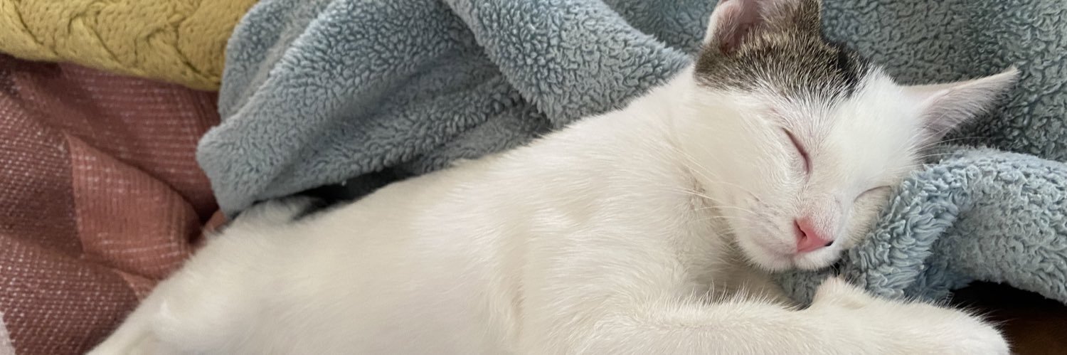 Maddiethompy's profile banner image