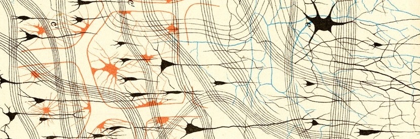 The String Magazine banner