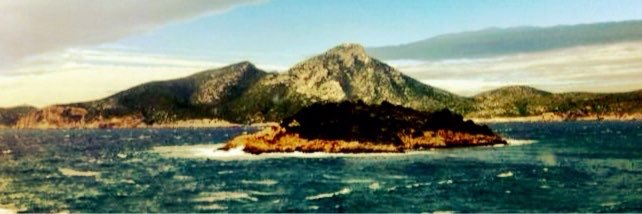 Basilio Baltasar banner