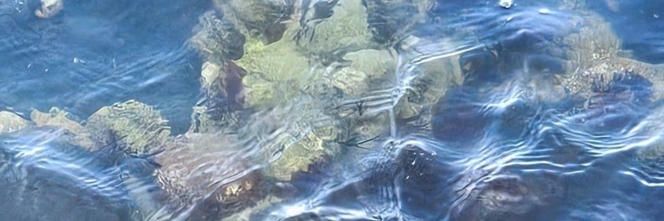 𝐀𝐥𝐚𝐚✩ banner