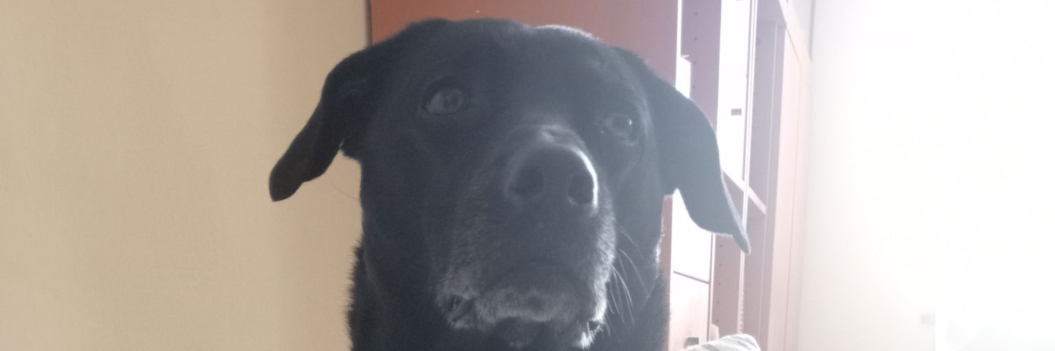 MarcoFantozzi6's profile banner image