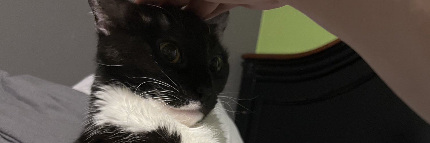 Cats with their heads held back banner