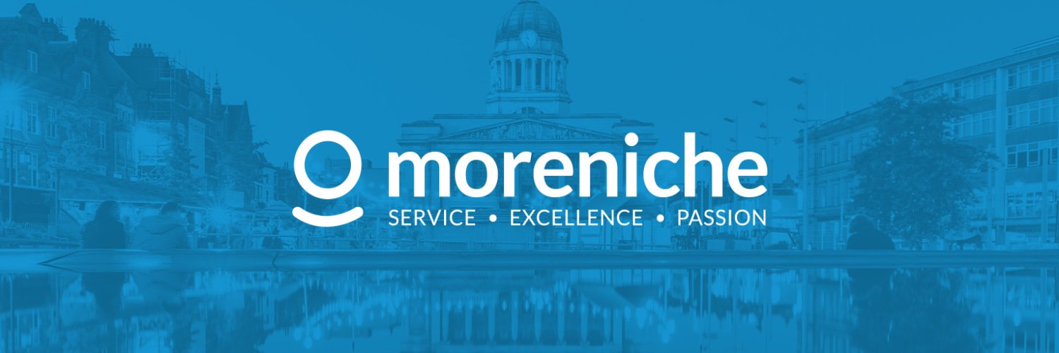MoreNiche banner