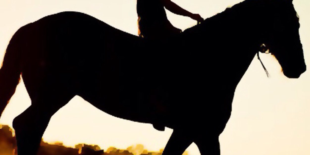 fooozalanzy's profile banner image