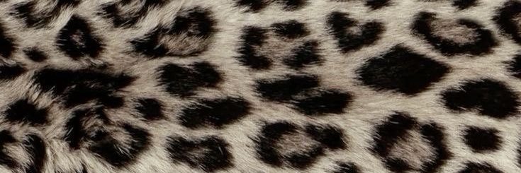 L banner