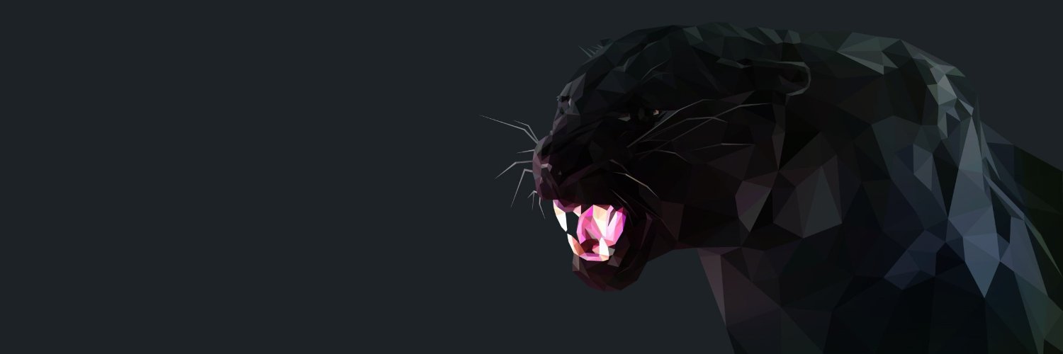 Timo48890558's profile banner image