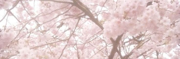 cookiesze's profile banner image