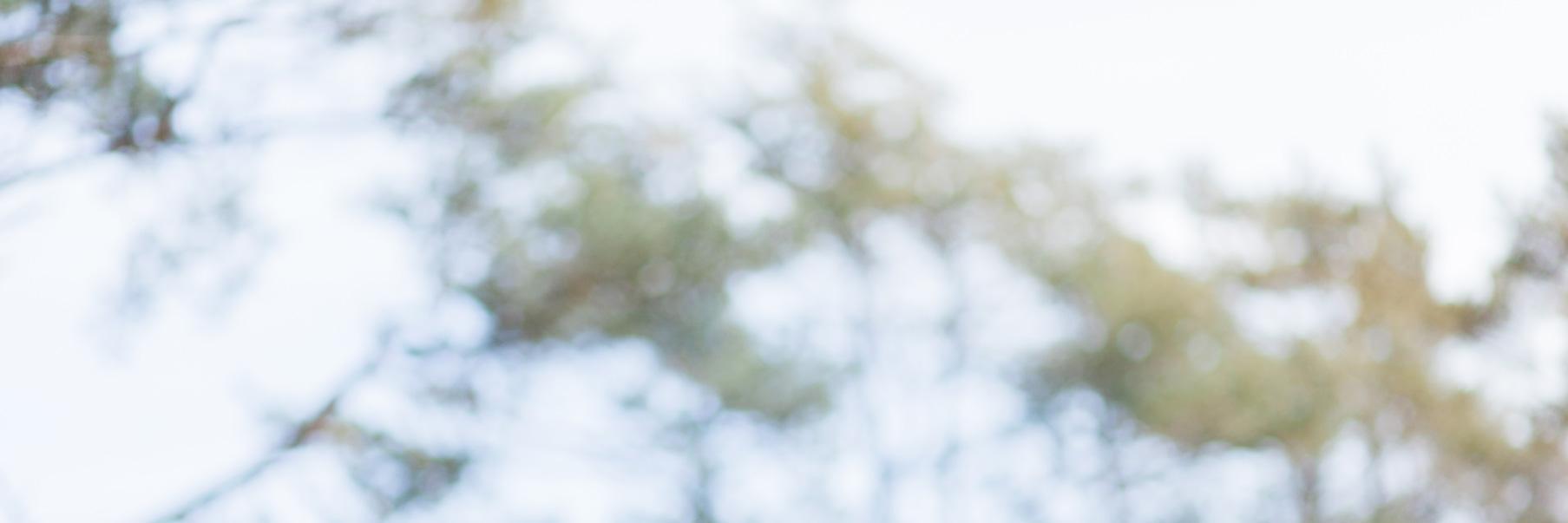 LeoOosterloo's profile banner image