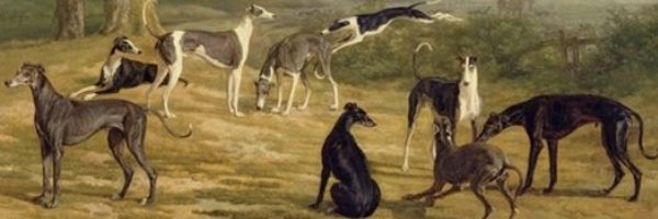 CoraTheWhippet Profile Banner