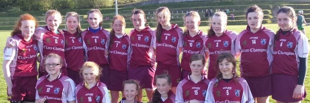 Official D/B Camogie banner