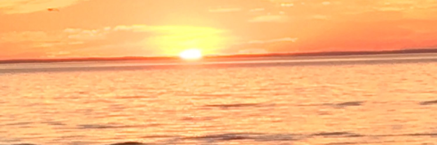 badfish11779's profile banner image