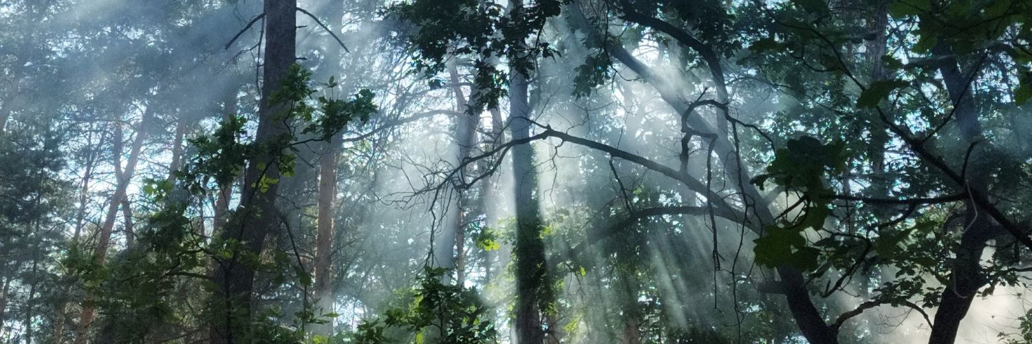 Пан Фотограф banner