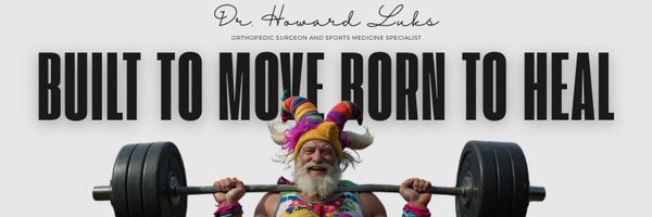 hjluks Profile Banner