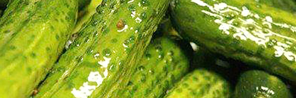 Fluffy Pickles banner