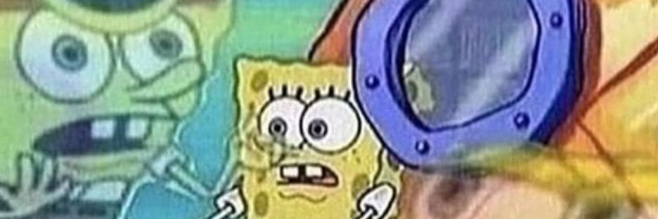 R. Butternubs banner