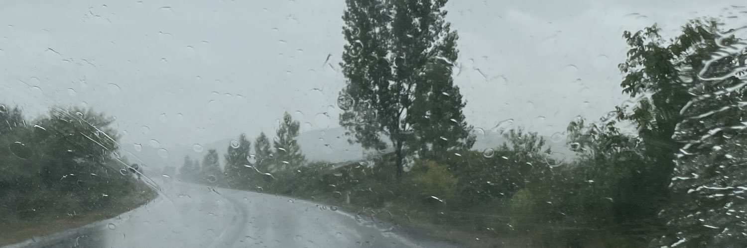 CarinaMedeea's profile banner image
