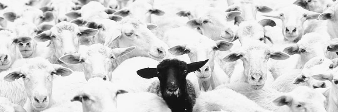 B_Bartosiewicz_'s profile banner image