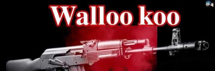 WallooThe's profile banner image