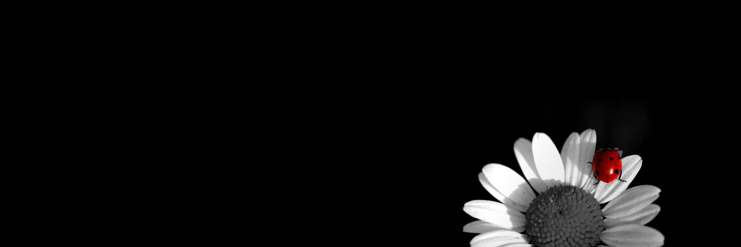Zeta Harris banner