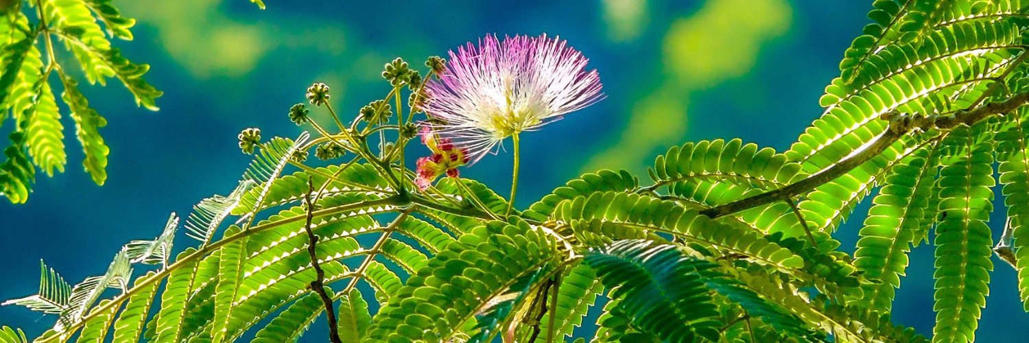 usembacy's profile banner image