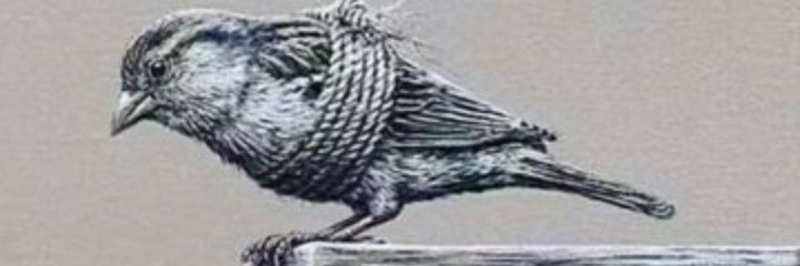JustjasperB's profile banner image