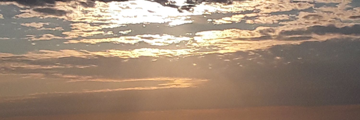 JuniperCabin🟡 banner