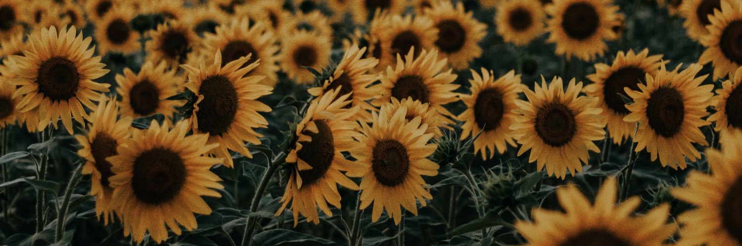 CatherineRoseJ's profile banner image