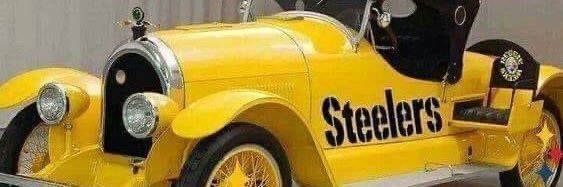 Terry Stinson banner