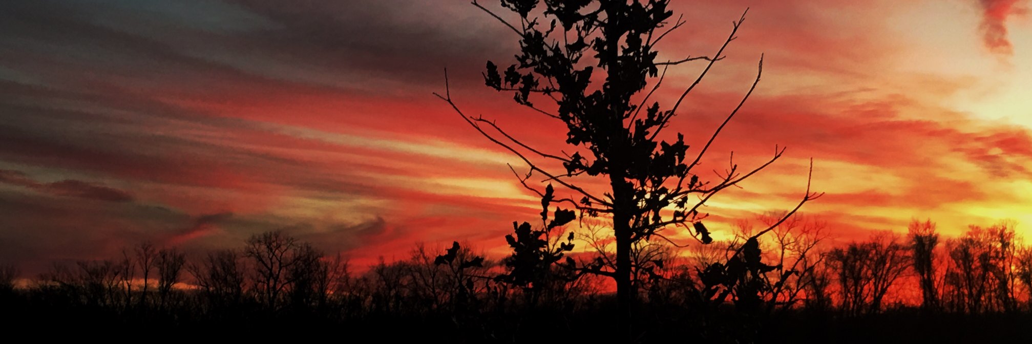 Kenadamson1's profile banner image