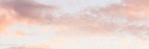 catshikin's profile banner image