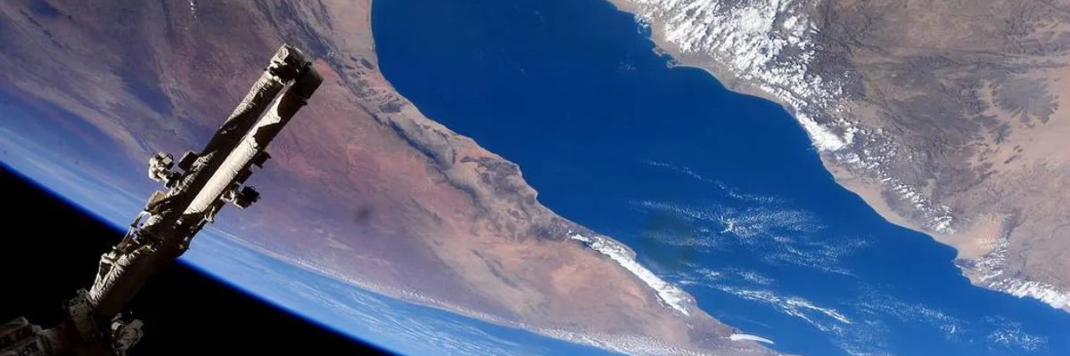 Nick Mudimba banner