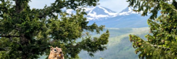 October Profile Banner