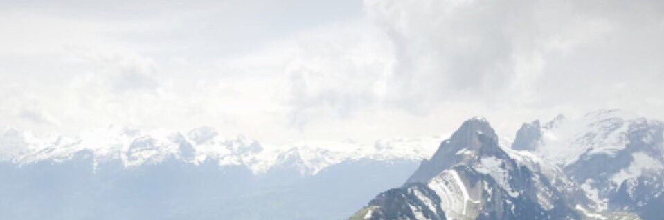 Erica Snow Brenner banner