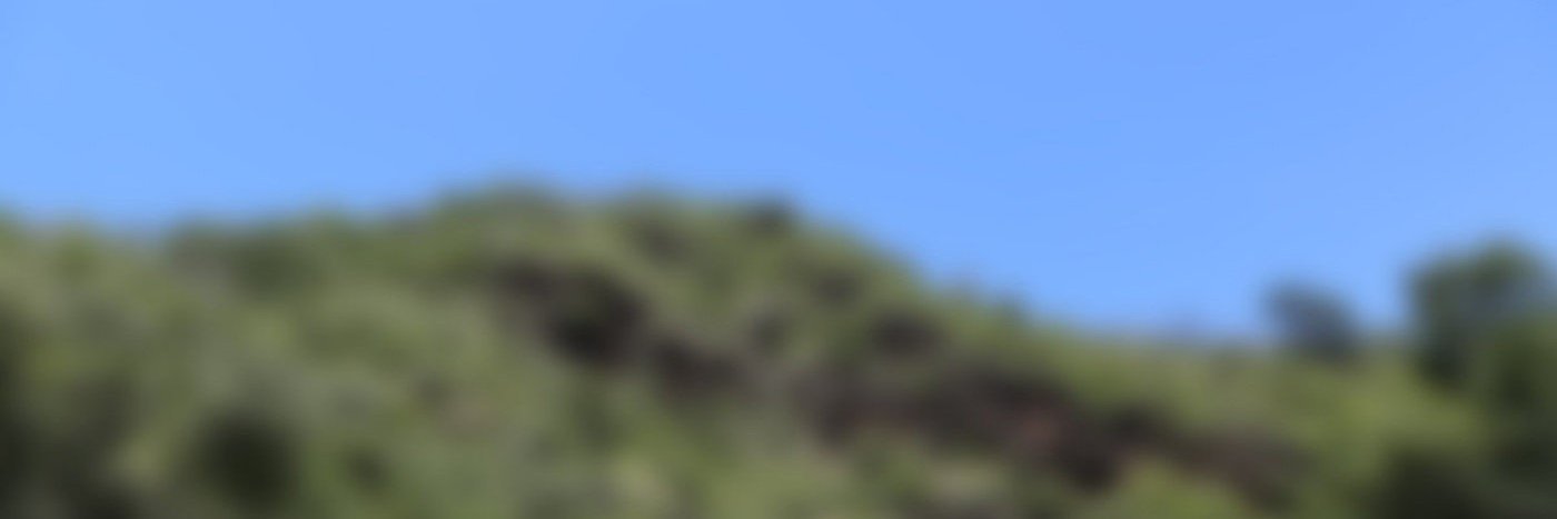 aneacehaddad's profile banner image