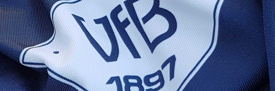 VfB Angry Bears banner