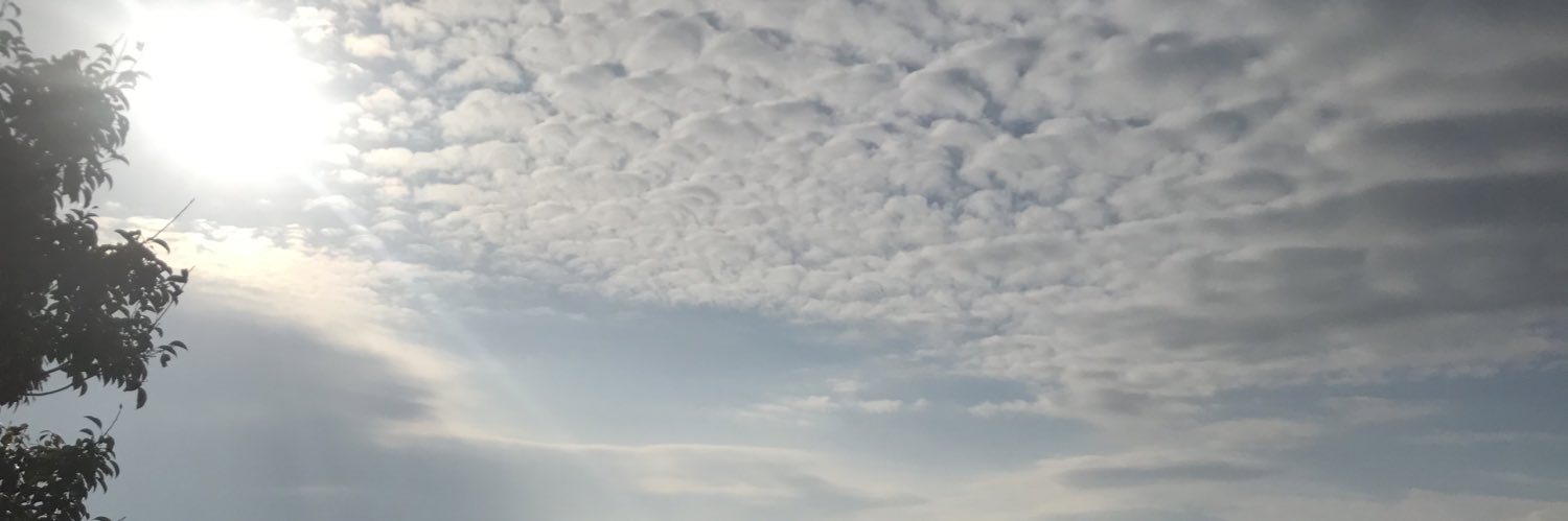 mukatinn's profile banner image