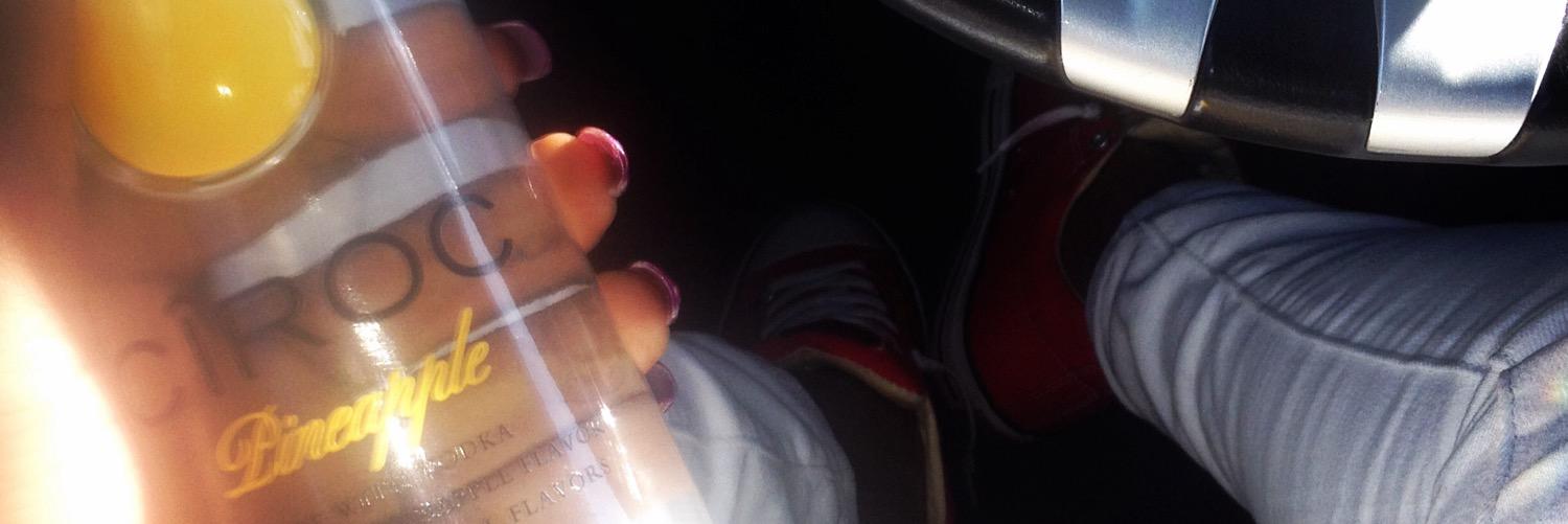 Ms Toy's World banner