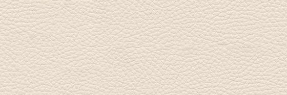 angel banner