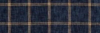 Gaia🛋️ banner